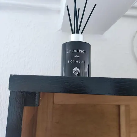 Appartement Abadie Bagnères-de-Bigorre Esterno foto