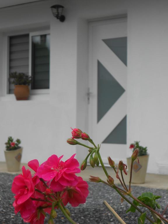 Apartment Abadie *